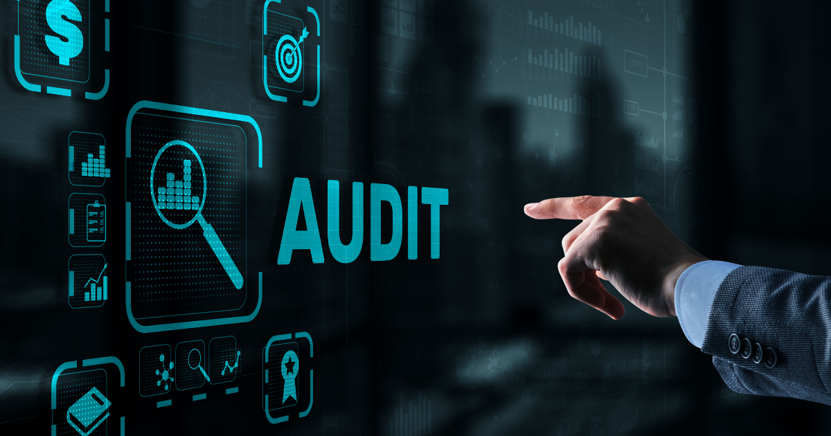 Audit website